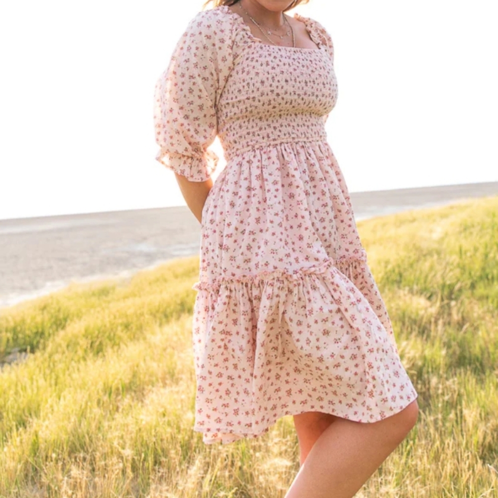 Ivy City Co Short Madeline Dress in Pink XXS